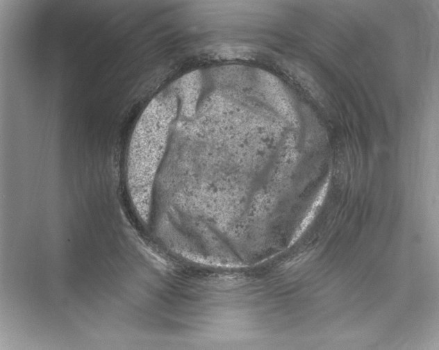 X0000072550402200608111844