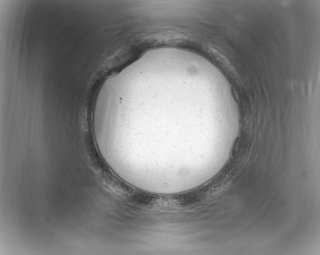 X0000072550403200608111844