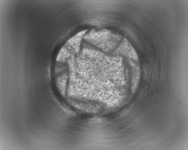 X0000072550404200608111844