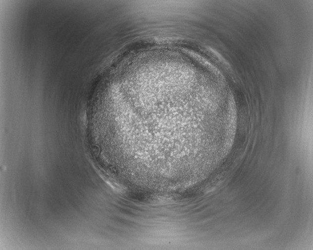 X0000072550405200608111844