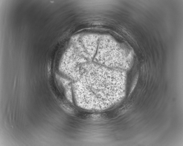 X0000072550406200608111844