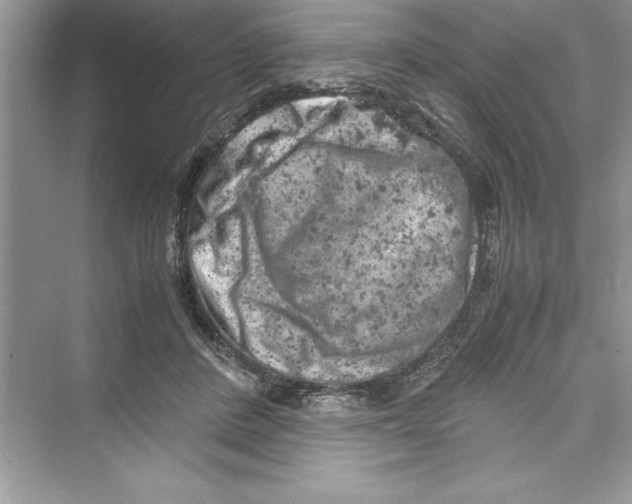 X0000072550408200608111844