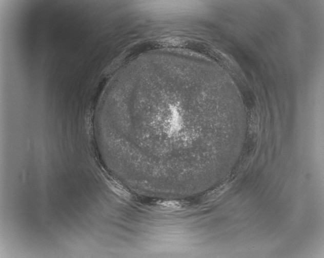 X0000072550409200608111844