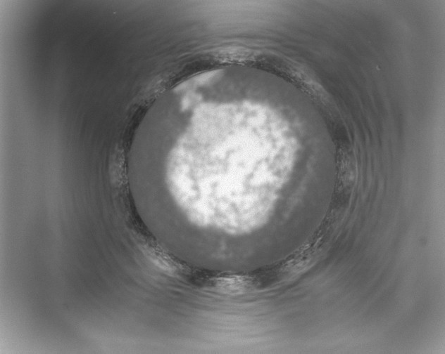 X0000072550411200608111844