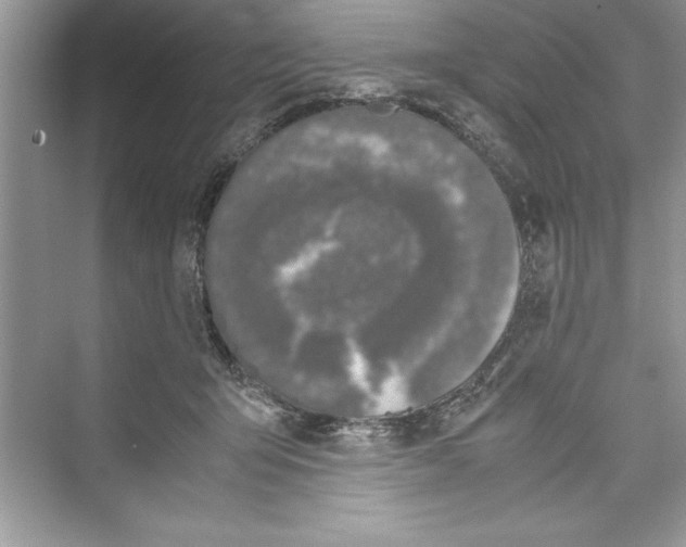 X0000072550415200608111844