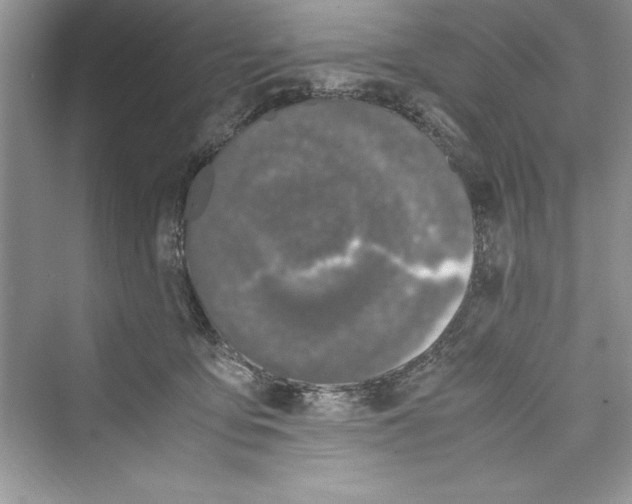 X0000072550419200608111844