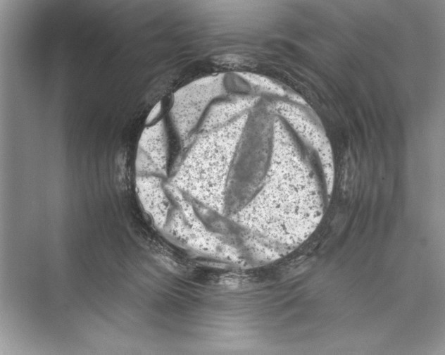 X0000072550420200608111844