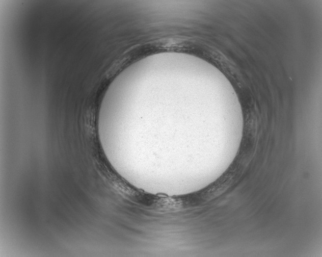 X0000072550421200608111844