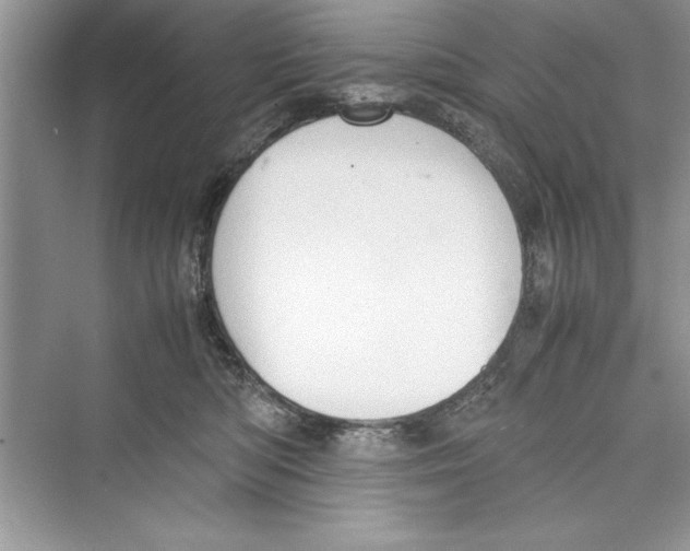 X0000072550422200608111844