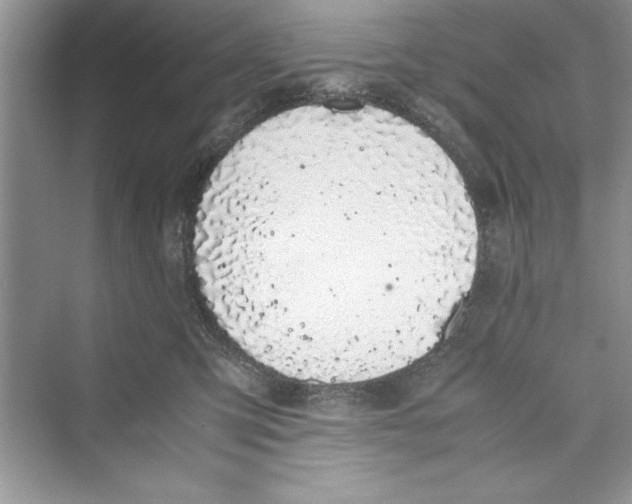 X0000072550423200608111844