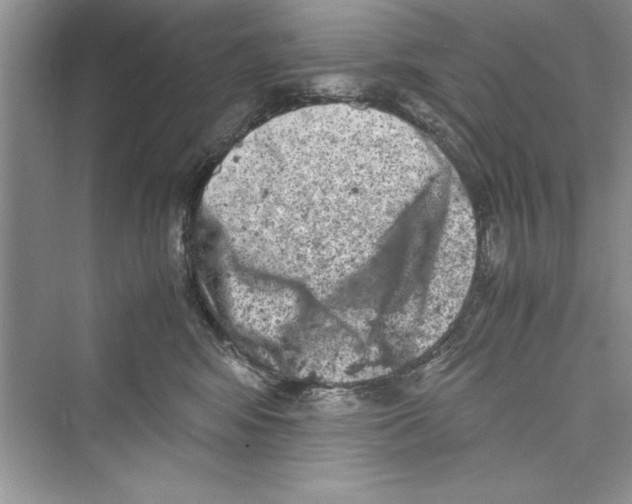 X0000072550424200608111844