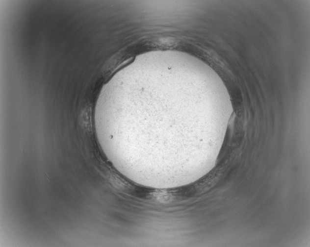 X0000072550425200608111844