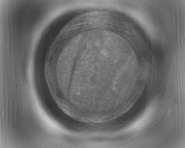 X0000072550431200608111844