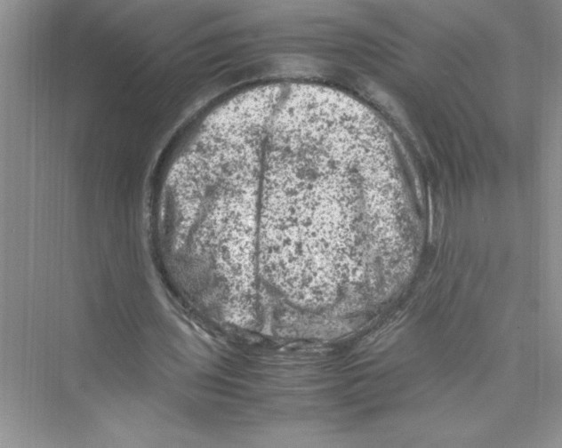 X0000072550435200608111843