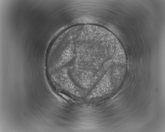 X0000072550438200608111843