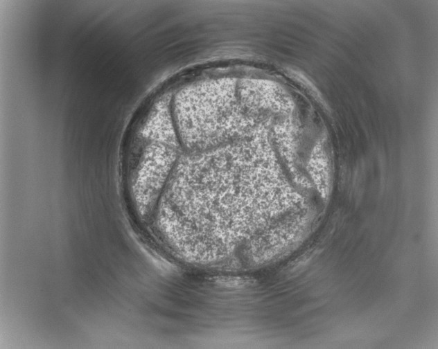 X0000072550439200608111843