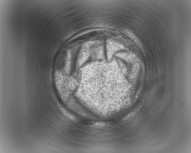 X0000072550441200608111843