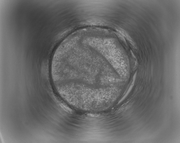 X0000072550442200608111843