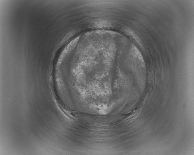 X0000072550443200608111843