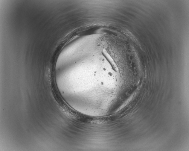 X0000072550444200608111843