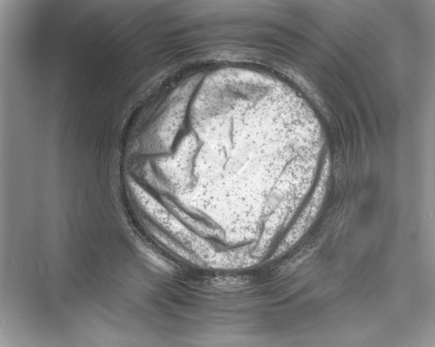 X0000072550445200608111843