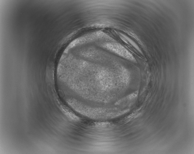 X0000072550446200608111843