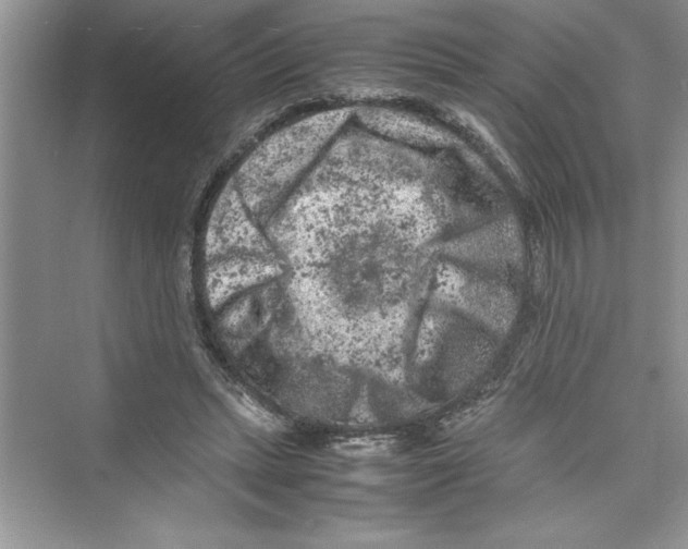 X0000072550447200608111843