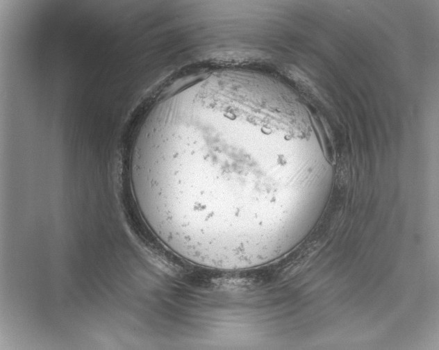 X0000072550448200608111843