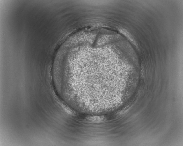 X0000072550449200608111843