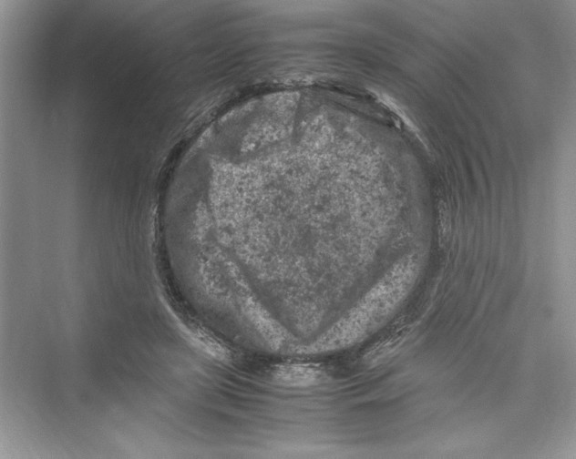 X0000072550451200608111843