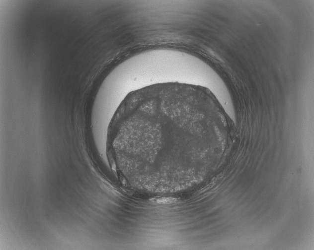 X0000072550452200608111843