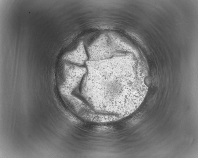 X0000072550453200608111843