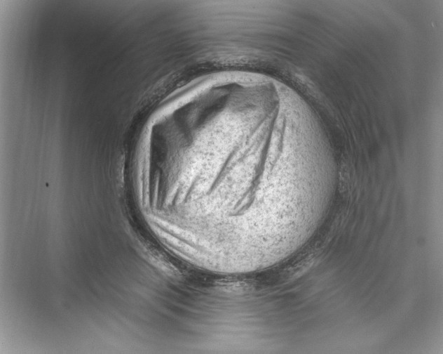 X0000072550454200608111843