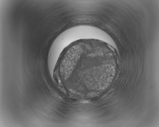 X0000072550456200608111843