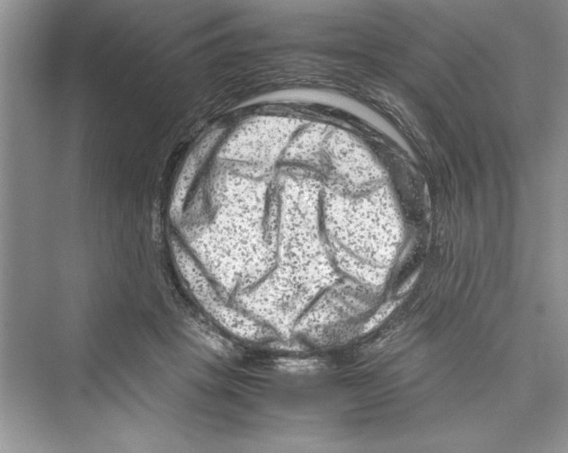 X0000072550457200608111843