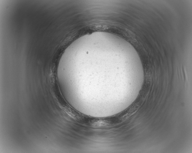 X0000072550460200608111843