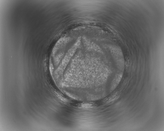 X0000072550462200608111843