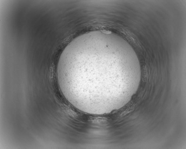 X0000072550463200608111843