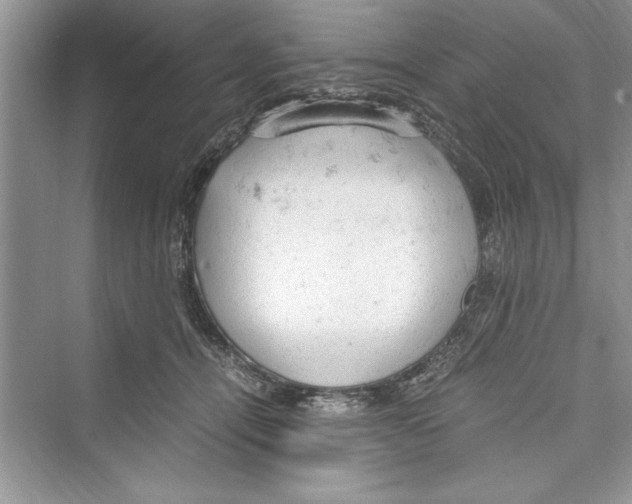 X0000072550464200608111843