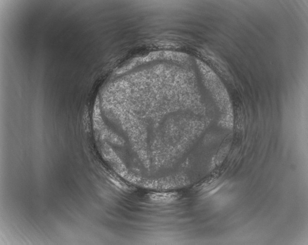 X0000072550465200608111843