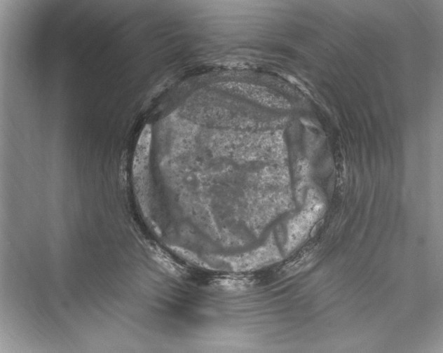 X0000072550466200608111843