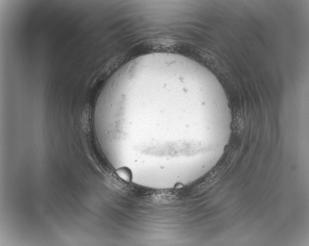 X0000072550468200608111843