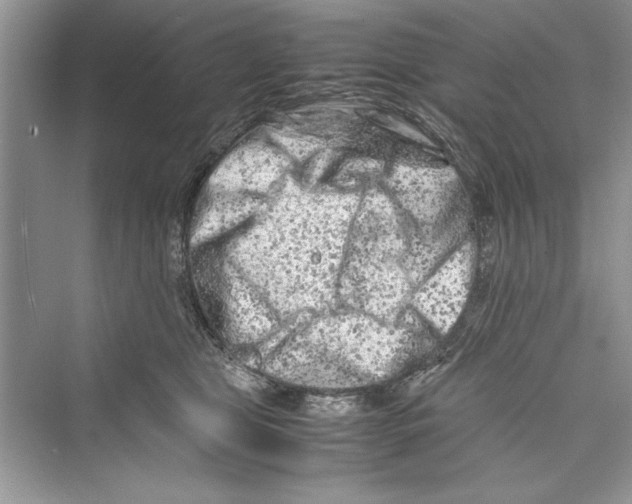 X0000072550469200608111843