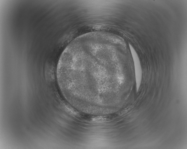 X0000072550470200608111843