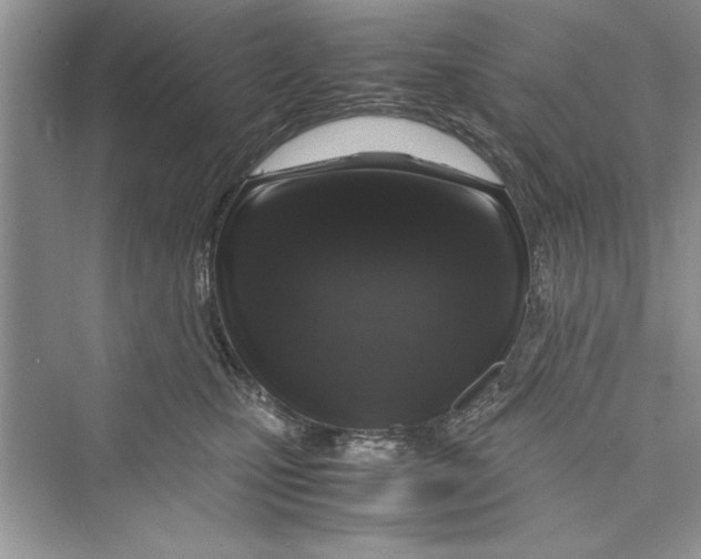 X0000072550471200608111843