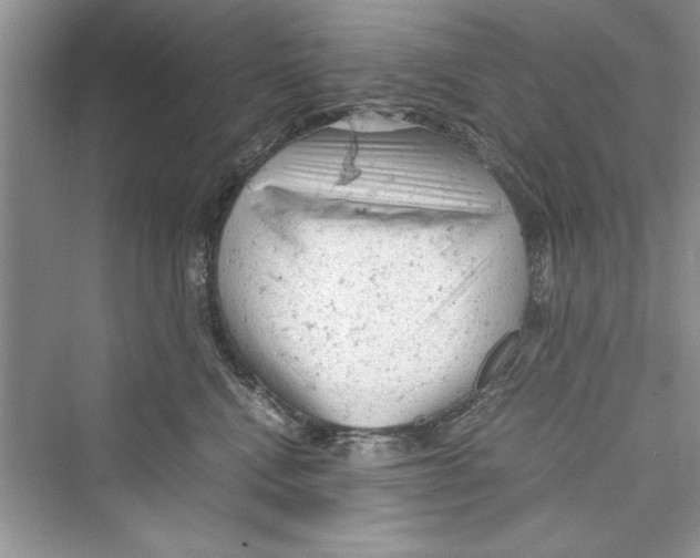 X0000072550472200608111843