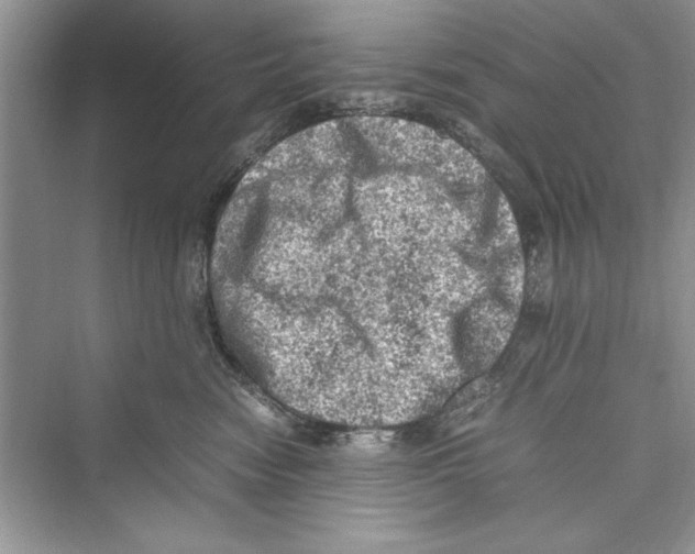 X0000072550474200608111843