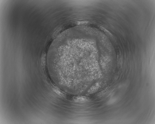 X0000072550475200608111843