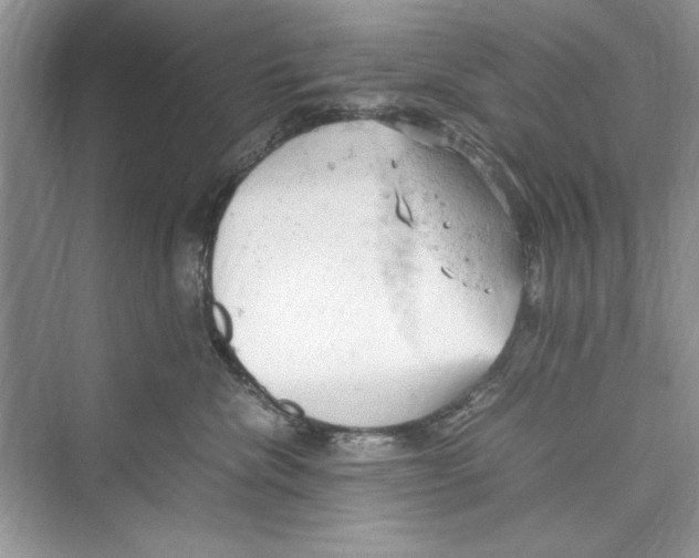 X0000072550476200608111843