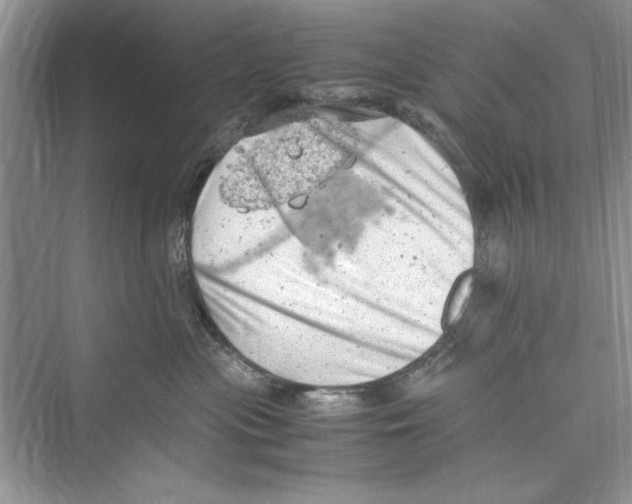 X0000072550477200608111843